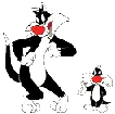 sylvester