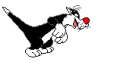 sylvester