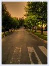 summer park