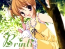 Brinti - Cute Anime Girl