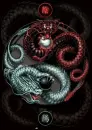 anonymous-dragons