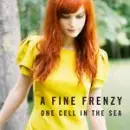 a fine frenzy