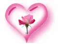 Heart, Rose