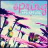 spring flowers