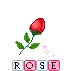 rose