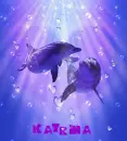Katrina Dolphin