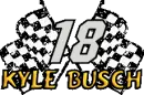 Kyle Busch Checkered Flag