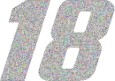 Kyle Busch 18 glitter