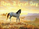 horse in a meadow