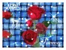 red roses