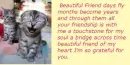 funny cat with poems