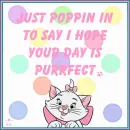 Purrfect