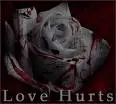 Love Hurts
