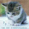 So Confoosed