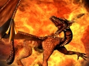 Fire Dragon