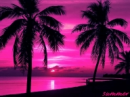 pretty
