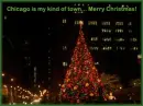 Michigan Ave Tree