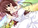 spring-anime 