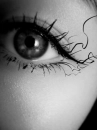 eye