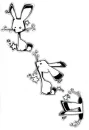 bunny