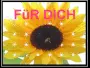 SONNENBLUME
