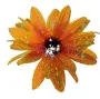 blume