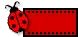 lady bug