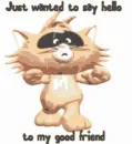 animated cat