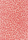 pink leopard pattern