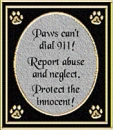 STOP ANIMAL ABUSE