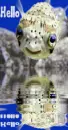 Smiling Fish (with water reflection)- Hello