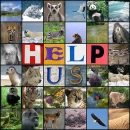 Help Us