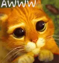 Puss-n-Boots- Awww