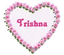Sparkling Pink Roses Heart - Trishna