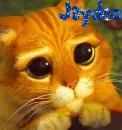 Puss-n-Boots- Jayden