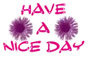 have a nice