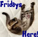 Cat- Friday's Here!