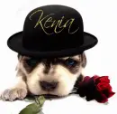 Puppy with Black Hat & Red Rose- Kenia