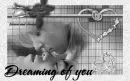 Dreaming of you