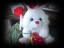 My bunny