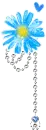 BLUE FLOWER