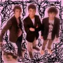jonas brothers