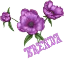 Brenda
