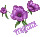 Virginia