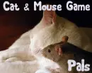 Cat & Mouse- Cat & Mouse Game Pals