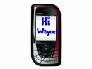 Cell Phone (black nokia)- Hi Wayne