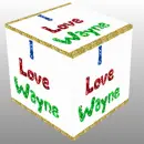 I Love Wayne Cube