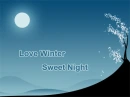 Night-Winter