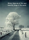 Winter