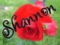 Shannon